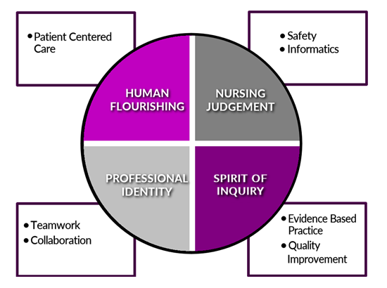 what is conceptual framework in nursing research